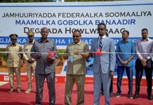 Duqa muqdisho oo xarigga ka jaray 12 waddo