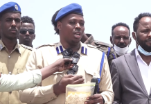 Laamaha ammaanka oo gubay Daroogo gaaraysa 250 kartoon