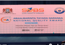 Hey’adda Tayo-dhowrka Qaranka oo abbaalmarisay dhowr shirkadood oo kuwa ganacsiga ah