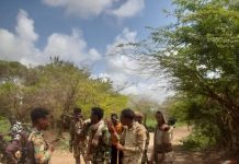 Ciidanka Xoogga Dalka oo howlgallo ka dhan ah khawaarijta ka sameeyay Shabeellada hoose