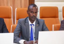 Dib-u-kabasho iyo tubta horumarka