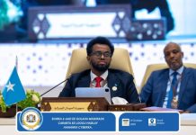 Wasiirka Isgaarsiinta oo Sucuudiga uga qaybgalay shir ku saabsan ammaanka Internet-ka