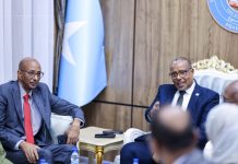 Guddoomiye ku-xigeenka 2-aad ee Aqalka Sare oo qaabilay guddoomiyaha Golaha Wakiillada Woqooyi Bari