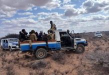 Ciidanka Amniga oo gacanta ku dhigay Eedaysaneyaal loo haysto dil ka dhacay qaayib