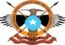 Ciidanka NISA oo howlgal guuleystay ka fuliyay Hiiraan