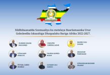 Waa maxay doorka xubnaha Soomaaliya ku matalaya Baarlamaanka Urur Goboleedka Iskaashiga Dhaqaalaha Bariga Afrika ?