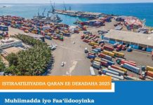 Golaha Wasiirrada oo Ansixiyay Istiraatiijiyadda Qaran ee Dekadaha (2025) iyo Ku-biirista Soomaaliya ee IMSO