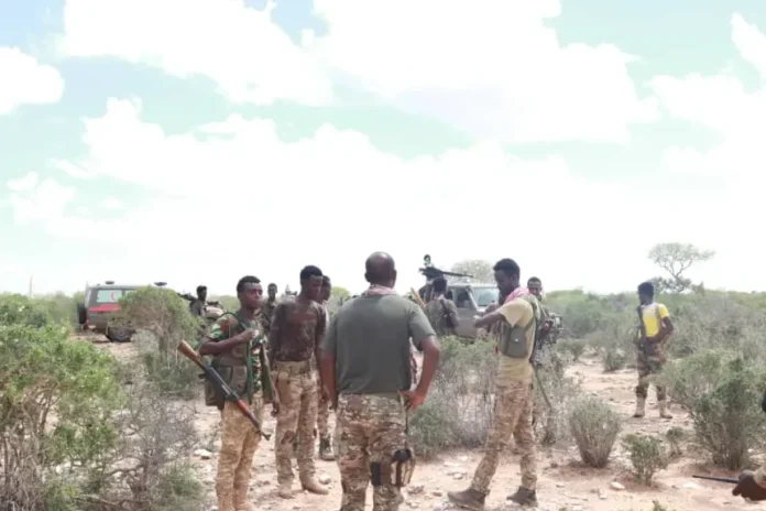 CIIDAMADA-DALKOOW-860x573