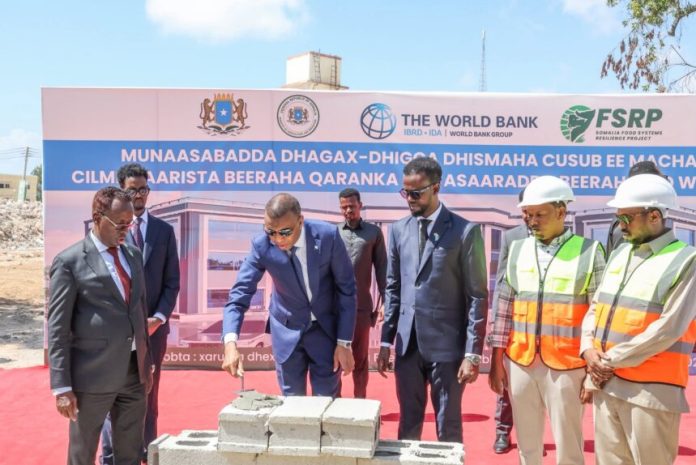 FB_IMG_1763283902453-860x574