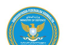 Ciidanka Xoogga oo hawlgal qorshaysan ka fuliyey deegaano ka tirsan Shabeellaha Hoose