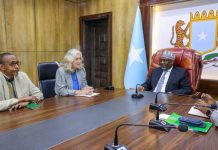 Guddoomiyaha Golaha Shacabka BFS oo la kulmay Safiirka Midowga Yurub u qaabilsan Soomaaliya