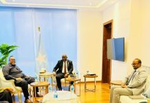 Wasiirka Warfaafinta oo gaaray Qaahira oo uu uga qaybgalayo shir muhiim ah