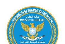 Lix khawaarij ah oo lagu dilay howlgal ka dhacay nawaaxiga Xarardheere