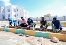 Wasiir Xoosh oo horkacay Dhireynta Wasaaradda Arrimaha Gudaha XFS