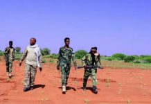 Horjooge katirsanaa khawaarijta oo lagu dilay howlgal ka dhacay gobolka Bakool