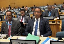 Soomaaliya oo door hoggaamineed ku leh kalfadhiga 3-aad ee UN habitat