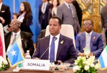 Wasiirka Arrimaha Dibadda Soomaaliya oo Qaahira kaga Qayb-galay Shir muhiim ah