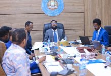 G/ Ku-xigeenka koowaad Aqalka Sare oo kormeer ugu tagay Guddiga dib-u-eegista Dastuurka