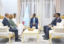 Wasiirka Arrimaha Dibadda oo Nuqullo ka Mid ah Waraaqadaha Aqoonsiga Danjirinimo ka Guddoomay Danjireyaal Cusub