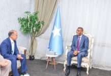 Ra’iisul Wasaare Xamsa oo qaabilay danjiraha Masar ee Soomaaliya