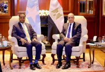 Wasiirka Arrimaha Dibadda Soomaaliya oo Qaahira kula kulmay dhiggiisa Masar si loo xoojiyo iskaashiga labada Dal