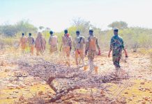 Howlgal ka Dhan ah Khawaarijta oo ka Dhacay Gobolka Galguduud