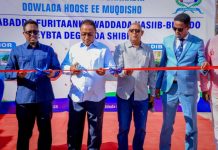 Guddoomiyaha Gobolka Banaadir oo Maanta Xarigga ka jaray Dhismaha Waddada Nasiib Buundo qeybteeda Degmada Shibis