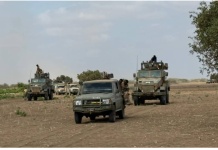 Ciidanka Danab oo howlgal qorsheysan ka fuliyay deegaanno kamid ah Sh/Hoose