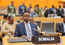 Wasiiru Dowlaha Wasaaradda Gaashaandhigga XFS oo shir uga qayb galay Itoobiya