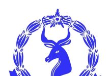 Ciidamada Booliska Gobolka Banaadir oo xiray Askar ,si sharci darro ah hub ugu dhex watay Magaalada Muqdisho