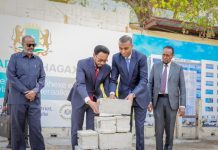 ๐๐โ๐ข๐ข๐ฌ๐ฎ๐ฅ ๐๐๐ฌ๐๐๐ซ๐ ๐๐๐ฆ๐ฌ๐, ๐จ๐จ D๐ก๐๐ ๐๐ฑ D๐ก๐ข๐ ๐๐ฒ D๐ก๐ข๐ฌ๐๐ฆ๐๐ก๐ X๐๐ซ๐ฎ๐ง๐ญ๐ D๐ก๐๐ฑ๐ ๐๐ ๐๐๐ฌ๐๐๐ซ๐๐๐๐ ๐๐๐๐ฅ๐ข๐ฒ๐๐๐๐