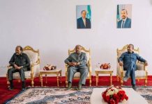 Madaxweynaha JFS oo si Weyn loogu soo dhoweeyey Xarunta Dowlad Deegaanka Soomaalida Itoobiya