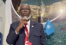 Agaasimaha Guud ee Wasaaradda Warfaafinta XJFS oo Bandhiga Carwada Fitur kaga qeyb galay Dalka Spain