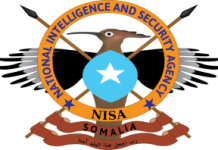 Maskaxdii Qaraxyada Khawaarijta oo lagu Dilay Howlgal Qorsheysan