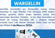 Hirgelinta Sharciga Kaarka Aqoonsiga ee Safarada Gudaha oo dib loo dhigay