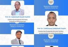 Madaxweynaha JFS oo magacaabay Guddoomiye Ku-Xigeennada Jaamacadda Ummadda Soomaaliyeed