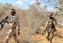 Ciidanka XDS oo Howlgal nadiifin ah ka wada Dhulka Howdka ah ee Waqooyiga Degaanka Jabad-Godane