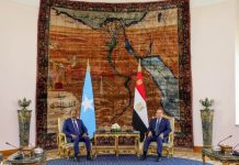 Madaxweynaha JFS oo Dhiggiisa Dalka Masar kala hadlay Xoojinta Xiriirka Labada Dal