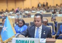 Wasiirka Arrimaha Dibadda XJFS oo Ka Qaybgalay Kal-Fadhigii 48aad ee Golaha Fulinta Ururka Midowga Afrika