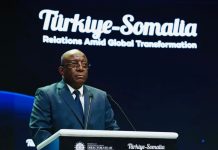 Dowladaha Soomaaliya iyo Turkiga oo yeeshay Kulan ku saabsan Xoojinta Iskaashiga Dhinaca Warbaahinta