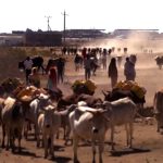 WARBIXIN: Xaaladda abaarta ka jirta Soomaaliya