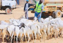 Biyo-dhaamin loo sameeyay qoysaska ay saameysay abaarta ka jirta qeybo ka mid ah dalka