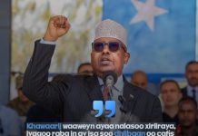 Dowladda Soomaaliya oo sheegtay in Xubno Sare oo Khawaarijta ka Tirsan Codsiyo u soo dirsadeen