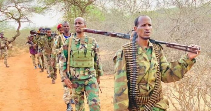 IMG_1176-1200x630-1-860x452