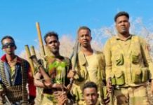 Horjoogaal Khawaarijta ka tirsan oo lagu khaarijiyay howlgal laga fuliyay Gobolka Hiiraan