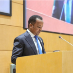 Wasiirka Arrimaha Dibadda XFS oo guddoomiyay kulan doceed ka mid ah shir-madaxeedka Afrika