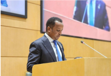 Wasiirka Arrimaha Dibadda XFS oo guddoomiyay kulan doceed ka mid ah shir-madaxeedka Afrika