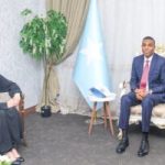 Ra’iisul Wasaaraha XFS oo xafiiskiisa ku qaabilay Wakiilka hey’adda (UNICEF) ee Soomaaliya