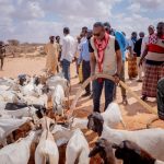 Hay’adda SoDMA oo kaalmo gaarsiisay Degmada Wisil