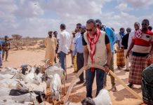 Hay’adda SoDMA oo kaalmo gaarsiisay Degmada Wisil